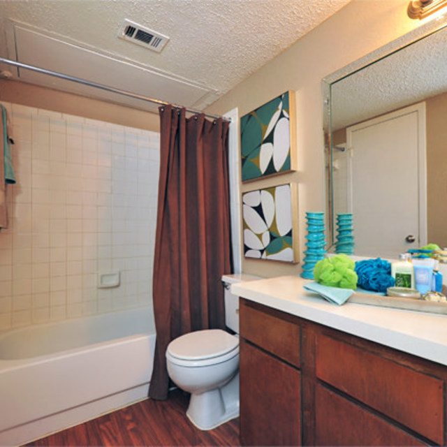 Greenbriar Apartments Plano TX | Bathroom