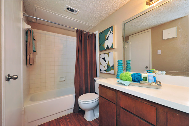 Greenbriar Apartments Plano TX | Bathroom